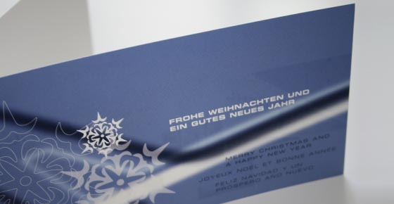Diehl Aircabin - Erscheinungsbild